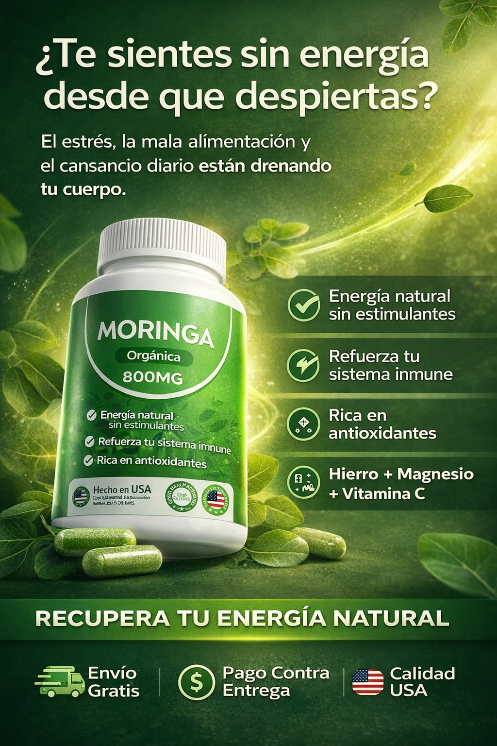 Moringa 800MG Premium (60 Cápsulas): Más Energía y Sistema Inmunológico Fuerte