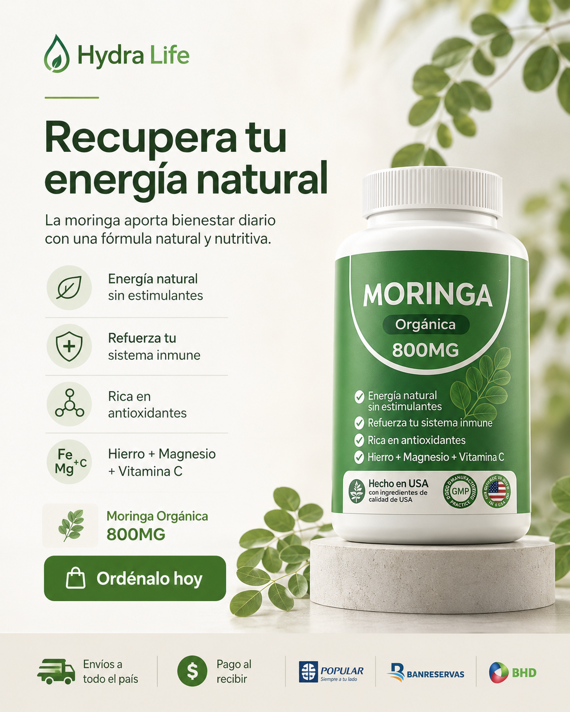 Moringa 800MG Premium (60 Cápsulas) HydraLife™ : Más Energía y Sistema Inmunológico Fuerte