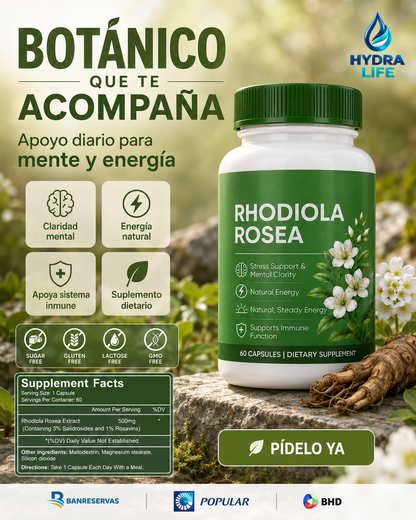 Rhodiola Rosea 500 mg – 60 Cápsulas | Más claridad y energía para responderle al día | ¡No vivas cansado desde que te levantas!