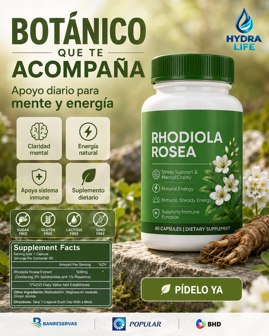 Rhodiola Rosea 500 mg – 60 Cápsulas | Más claridad y energía para responderle al día | ¡No vivas cansado desde que te levantas!