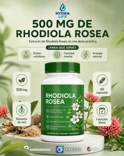 Rhodiola Rosea 500 mg – 60 Cápsulas | Más claridad y energía para responderle al día | ¡No vivas cansado desde que te levantas!